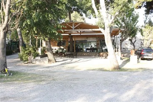 akrata-beach-camping-porovitsaakrata-acfp0