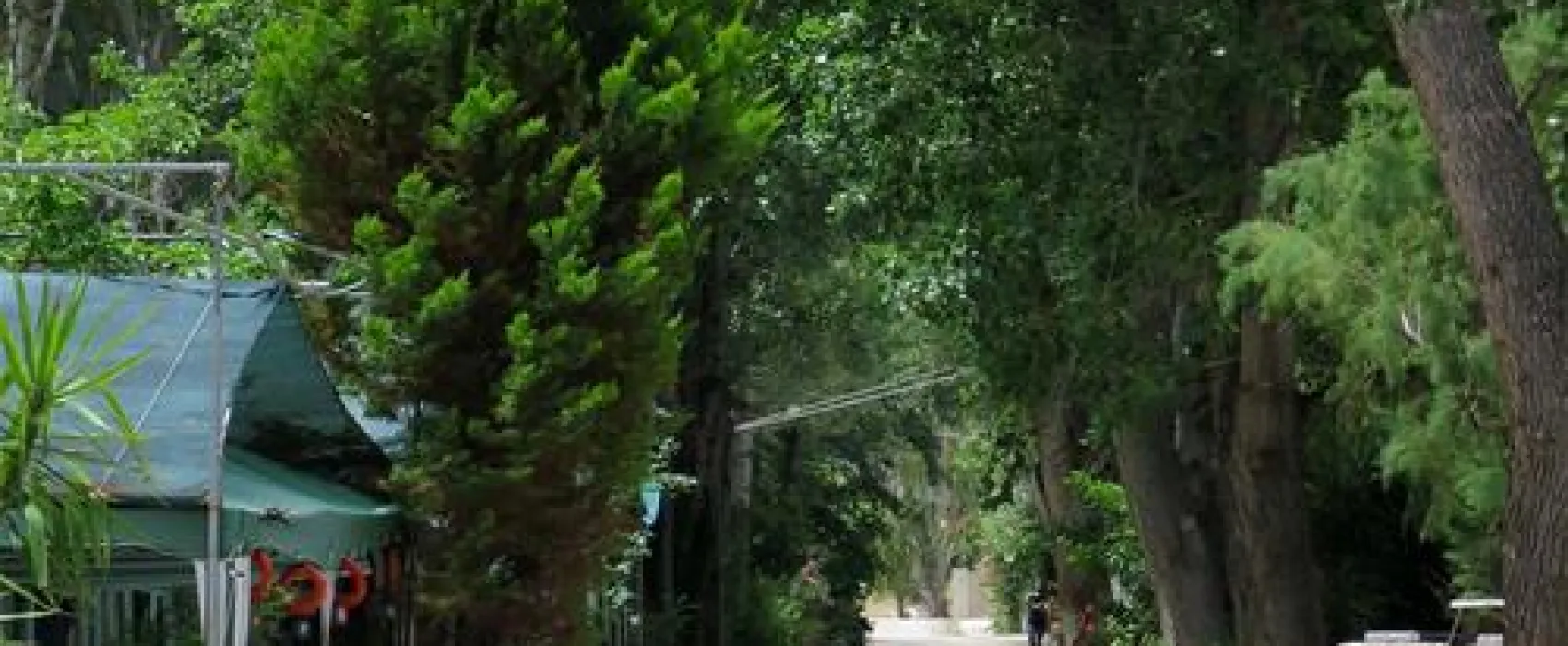Akrata Beach Camping