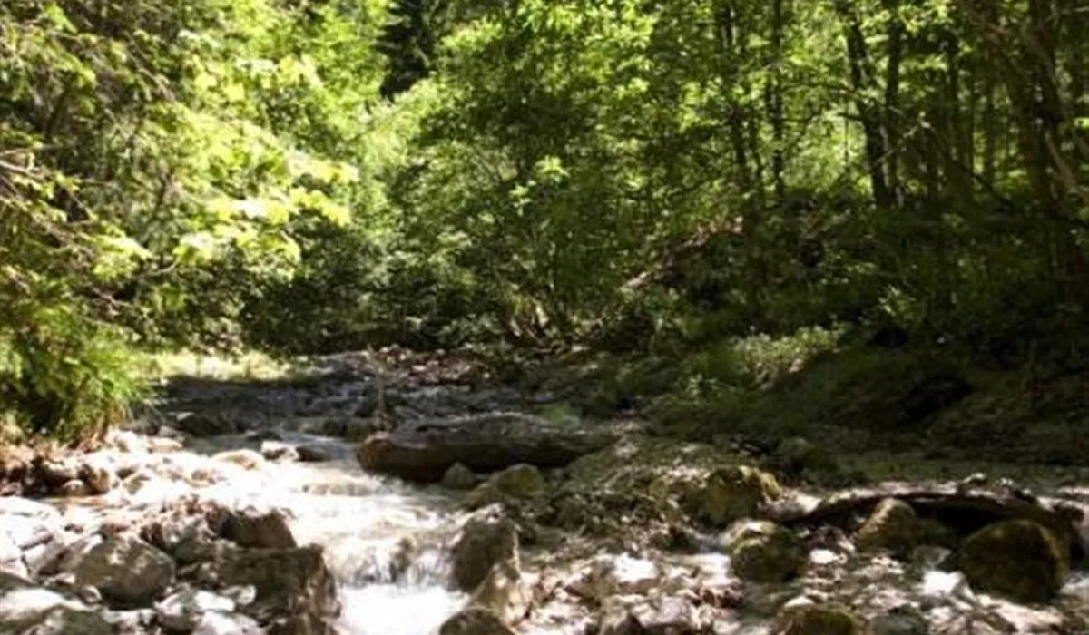 achensee-camping-schwarzenau-achenkirch-hjmyu