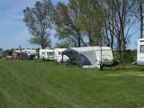 camping-de-tulpenweide-breezand-xhcf8