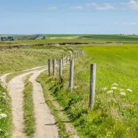 hawthorn-farm-caravan-camping-park-dover-o5rgr