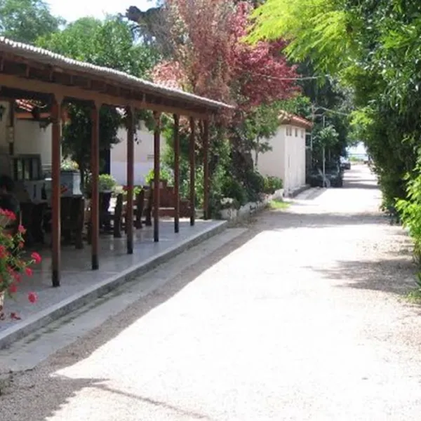 campsite-assini-beach-assini-plakadrepanon-g8u5o