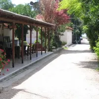 campsite-assini-beach-assini-plakadrepanon-g8u5o