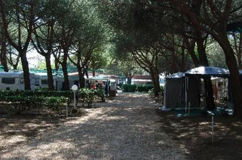 camping-sant-albinia-populonia-51iso
