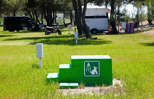 miami-autocamp-ulcinj-6cgk6