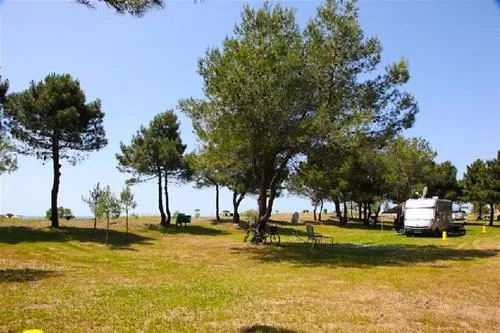 miami-autocamp-ulcinj-q96bb