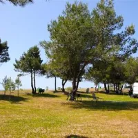 miami-autocamp-ulcinj-q96bb