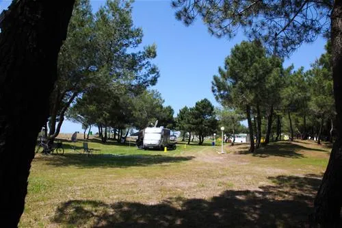 miami-autocamp-ulcinj-rb8yl