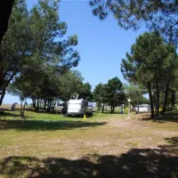 miami-autocamp-ulcinj-rb8yl