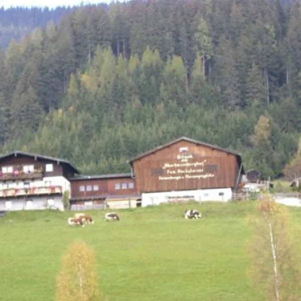 camping-oberhasenberghof-taxenbach-d5frh