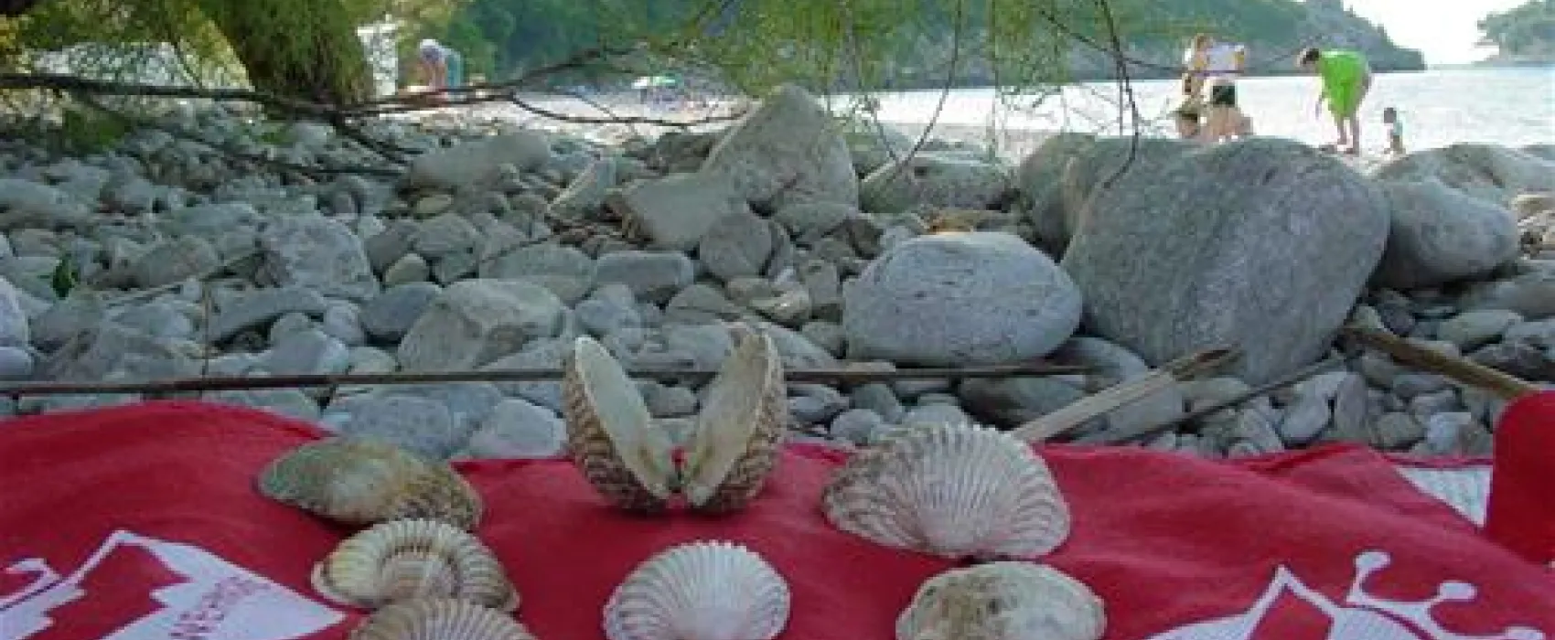 Mini-camping Divna