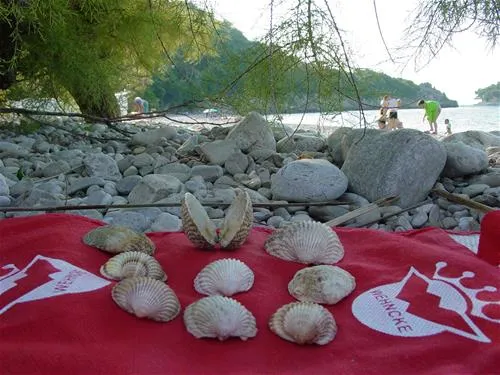 minicamping-divna-trpanj-2iw3x