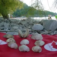minicamping-divna-trpanj-2iw3x