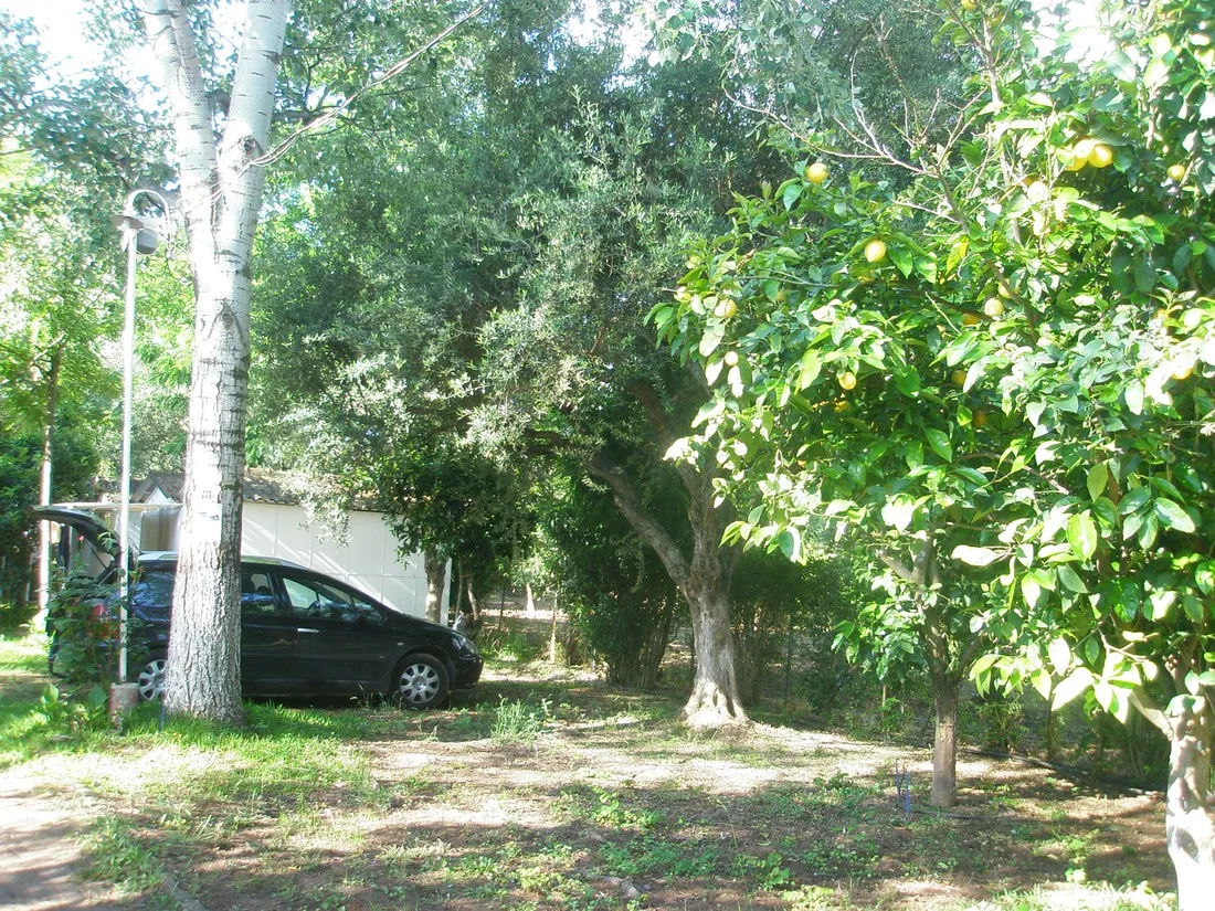 campsite-kato-alissos-kato-alissos-wl9y0
