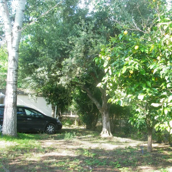 campsite-kato-alissos-kato-alissos-wl9y0