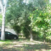 campsite-kato-alissos-kato-alissos-wl9y0
