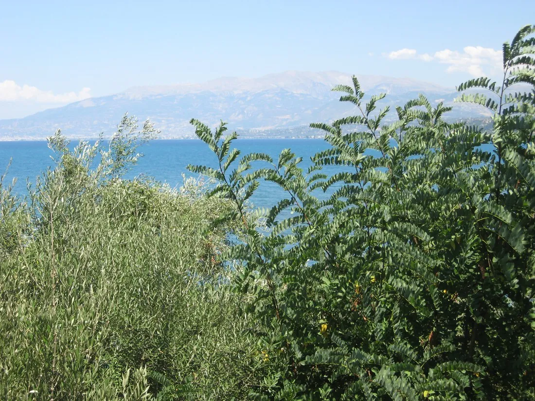 campsite-kato-alissos-kato-alissos-zjwvi