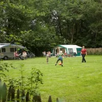camping-het-wieskamp-winterswijk-c1lqf