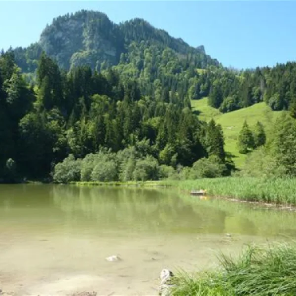 camping-seeweid-schwarzsee-schwarzsee-mxcf3