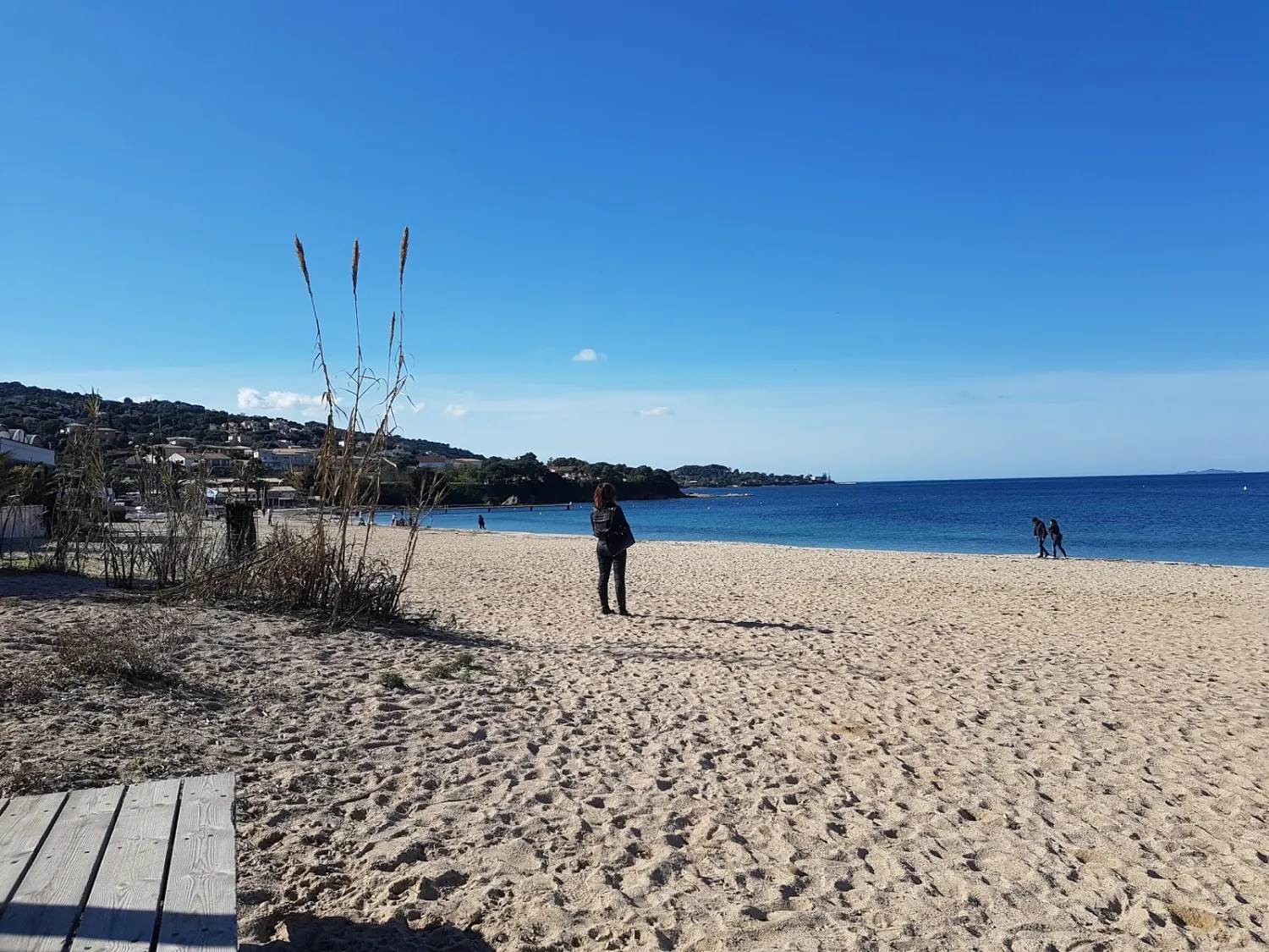 camping-beauregard-a-sud-marseillan-wntmn
