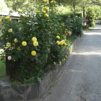 camping-simplonblick-raron-azet2