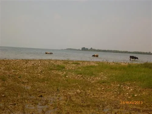 camping-lake-shkodra-resort-albania-omaregrile-vrake-5reb7