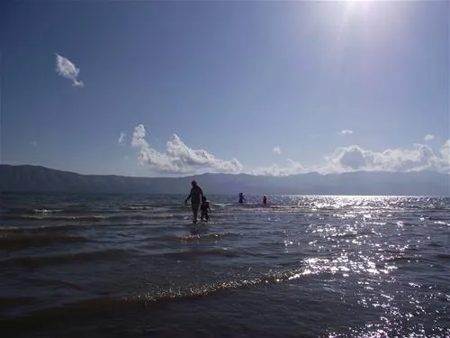 camping-lake-shkodra-resort-albania-omaregrile-vrake-iqz6k