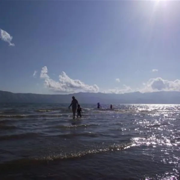 camping-lake-shkodra-resort-albania-omaregrile-vrake-iqz6k