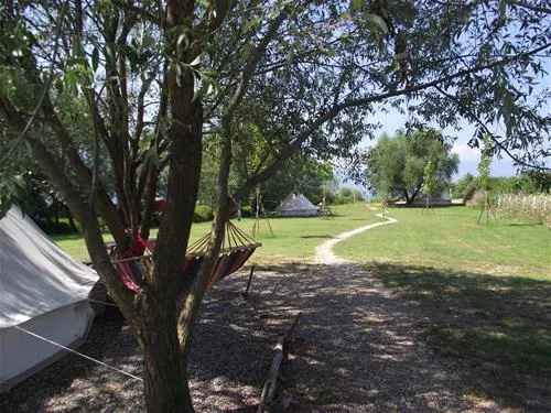 camping-lake-shkodra-resort-albania-omaregrile-vrake-yashb