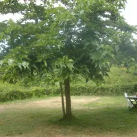 camping-les-amis-de-la-nature-piriac-sur-mer-wbtyy