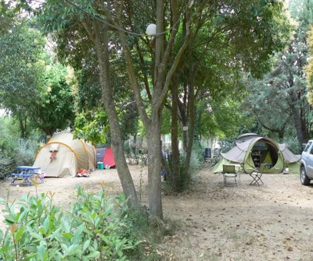 camping-bellevue-en-camargue-aimargues-n4c3y