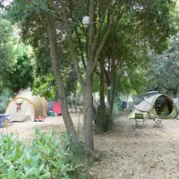 camping-bellevue-en-camargue-aimargues-n4c3y