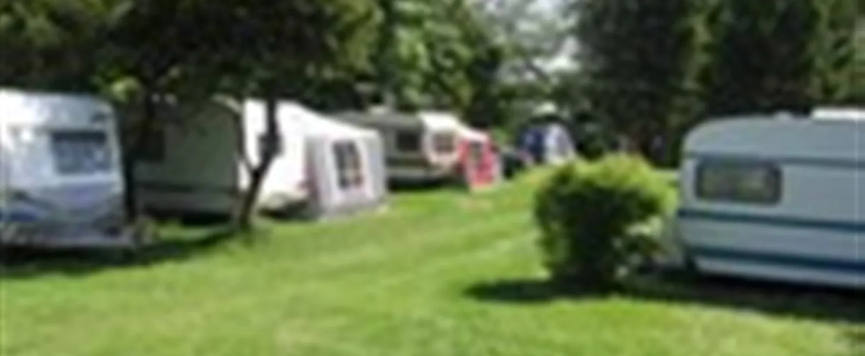 Skovly Camping