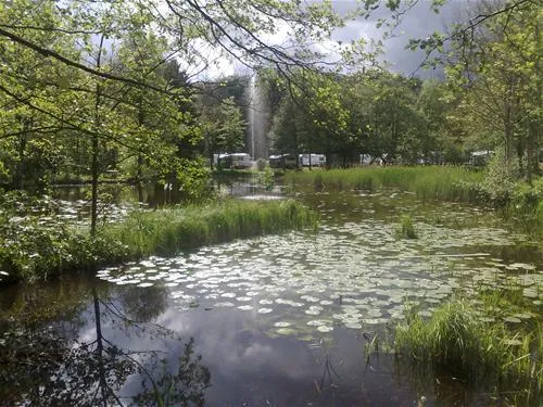 skovly-camping-ringsted-zcbta
