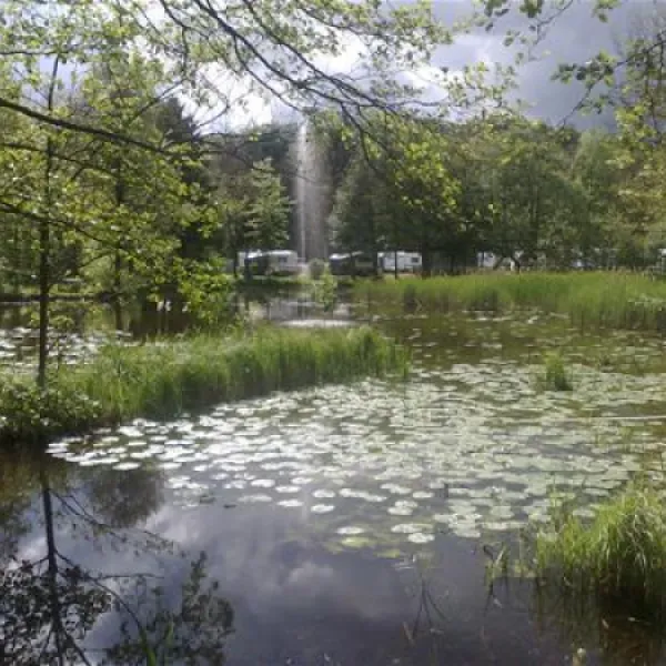 skovly-camping-ringsted-zcbta