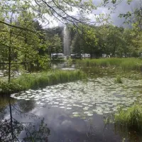 skovly-camping-ringsted-zcbta