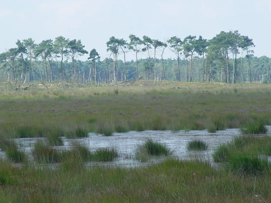 staartse-duinen-huijbergen-7xpwp