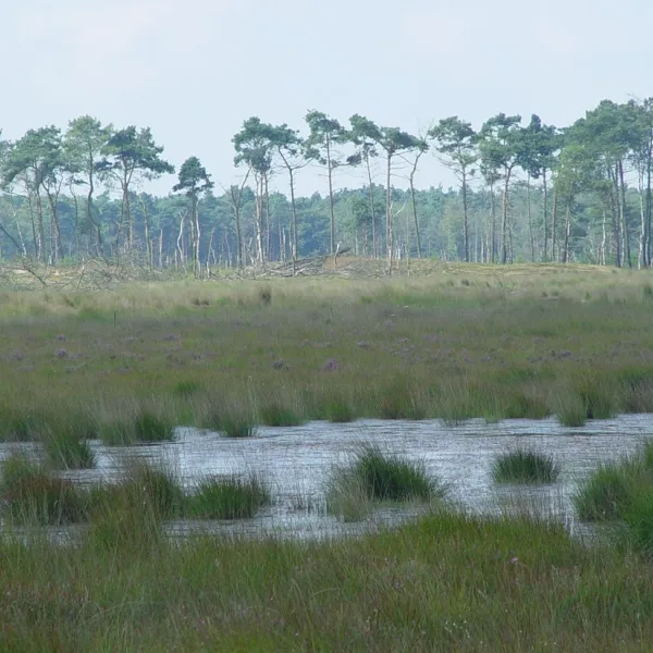 staartse-duinen-huijbergen-7xpwp