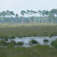 staartse-duinen-huijbergen-7xpwp