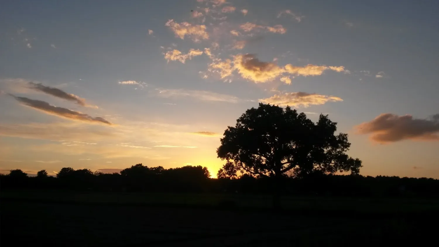 staartse-duinen-huijbergen-emwoc