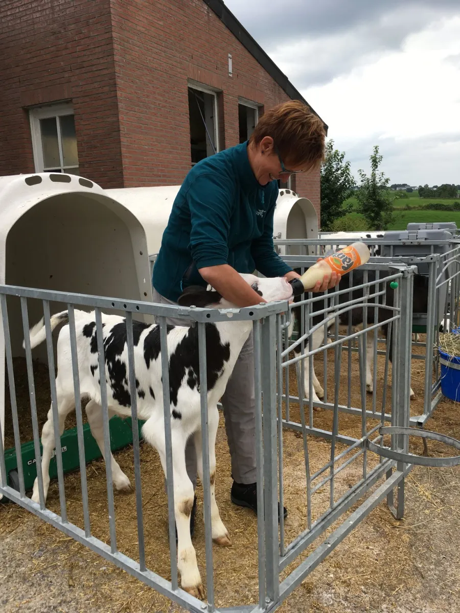 camping-hoeve-helberg-epen-lrqei