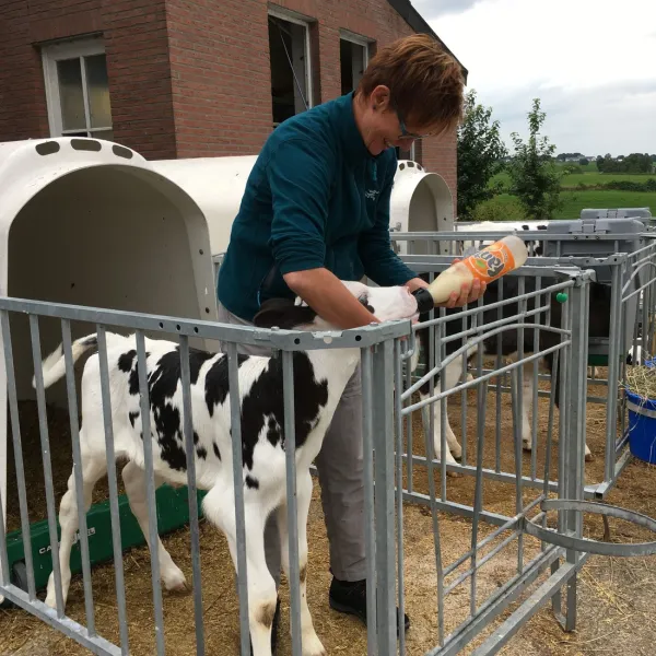 camping-hoeve-helberg-epen-lrqei