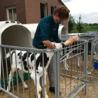 camping-hoeve-helberg-epen-lrqei