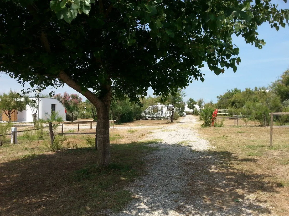 camping-beausejour-srignan-plage-ksyoi