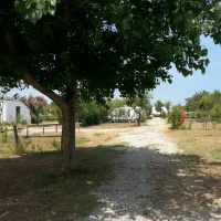 camping-beausejour-srignan-plage-ksyoi