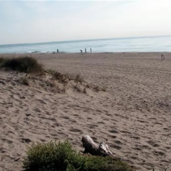 camping-beausejour-srignan-plage-w2837