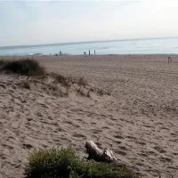 camping-beausejour-srignan-plage-w2837