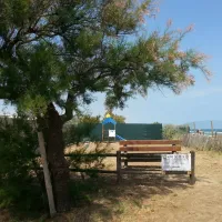 camping-beausejour-srignan-plage-yiyny