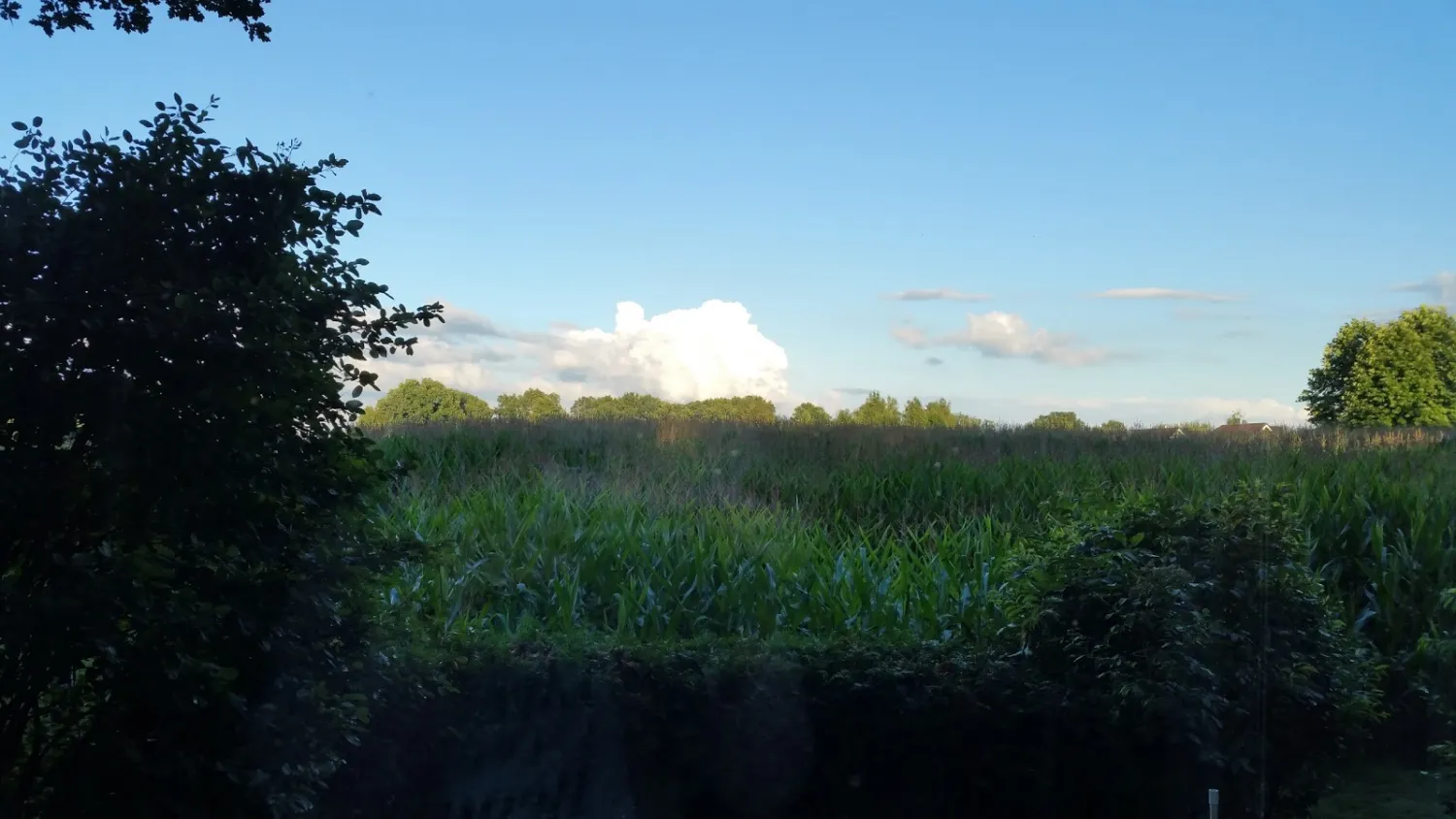 camping-brinkman-ruurlo-ethoe