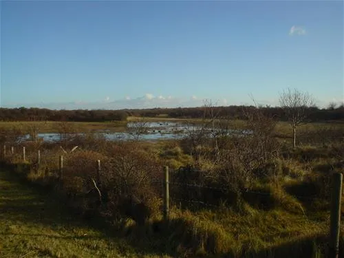 camping-oranjezon-vrouwenpolder-bv53b